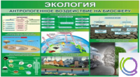 Стенд "Экология. Антропогенное воздействие на биосферу" - «globural.ru» - Тобольск