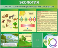 Стенд "Экология. Организация и функционирование сообществ" - «globural.ru» - Тобольск