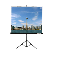 Проекционный экран на штативе Lumien Eco View (LEV-100105) 160x160 см - «globural.ru» - Тобольск