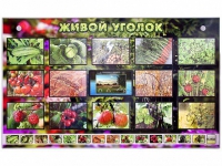 Комплект оборудования "Живой уголок" (растения) с тифлопереводом и сурдокомментариями - «globural.ru» - Тобольск