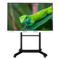 Интерактивный комплекс Geckotouch ​​​​​​​65RK - «globural.ru» - Тобольск