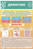 Стенд "Диффузия" - «globural.ru» - Тобольск