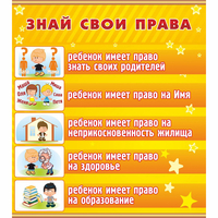Стенд "Знай свои права" - «globural.ru» - Тобольск