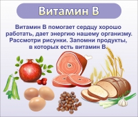 Стенд "Витамин В" - «globural.ru» - Тобольск
