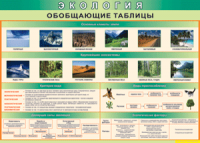 Обобщающие таблицы 1000*700 винил	 - «globural.ru» - Тобольск