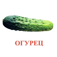 Карточки Домана "Овощи-Зелень-1" - «globural.ru» - Тобольск