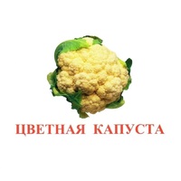 Карточки Домана "Овощи-Зелень-2" - «globural.ru» - Тобольск