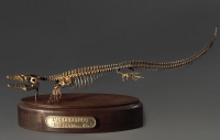 Модель скелета мозазавра Mosasaurus - «globural.ru» - Тобольск