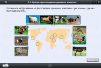Интерактивные курсы. Биология 7 класс. Расширенный - «globural.ru» - Тобольск