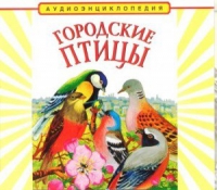 CD "Аудиоэнциклопедия. Городские птицы" - «globural.ru» - Тобольск