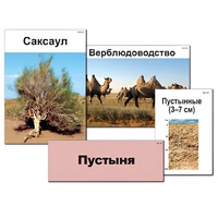 Модель-аппликация "Природные зоны России" - «globural.ru» - Тобольск