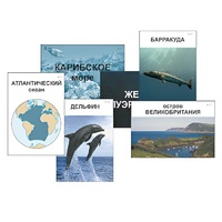 Модель-аппликация "Океаны. Знакомство" (ламинированная) - «globural.ru» - Тобольск