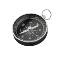 Компас (вариант 1) - «globural.ru» - Тобольск