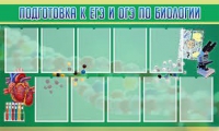Стенд "Подготовка к ЕГЭ и ОГЭ по биологии" (вариант 2) - «globural.ru» - Тобольск
