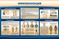 Стенд "Иммобилизация" - «globural.ru» - Тобольск