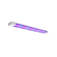 Фитолампа - «globural.ru» - Тобольск