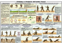 Плакат "Приемы и правила метания гранат" - «globural.ru» - Тобольск