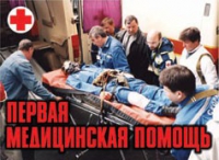 Комплект плакатов "Первая медицинская помощь" - «globural.ru» - Тобольск