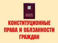 Комплект плакатов "Конституционные права и обязанности граждан" - «globural.ru» - Тобольск