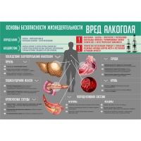 Стенд "Алкоголь" - «globural.ru» - Тобольск