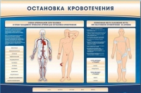 Электрифицированный стенд-тренажер "Остановка кровотечения" - «globural.ru» - Тобольск