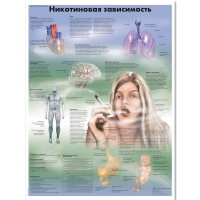 Плакат "Никотиновая зависимость", ламинированный, 50*67 см - «globural.ru» - Тобольск