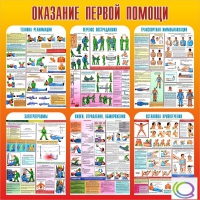 Стенд "Оказание первой помощи" - «globural.ru» - Тобольск