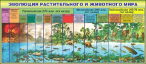 Стенд "Эволюция растительного и животного мира" - «globural.ru» - Тобольск