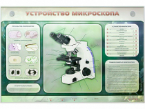 Электрифицированный стенд "Устройство микроскопа и правила работы c ним" - «globural.ru» - Тобольск