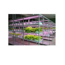 Обучающий комплект "АГРОкласс" - «globural.ru» - Тобольск