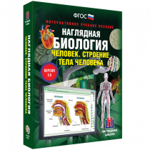 Наглядная биология. Человек. Строение тела человека - «globural.ru» - Тобольск