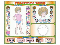 Стенд маркерный "Познаю себя" (тело, голова, органы чувств) - «globural.ru» - Тобольск