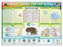 Стенд-уголок "Вестник природы" (вариант 1) - «globural.ru» - Тобольск