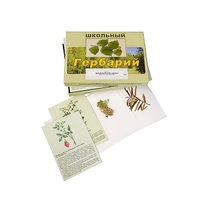 Гербарий "Для начальной школы" (30 видов, с иллюстрациями) - «globural.ru» - Тобольск