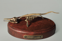 Модель скелета ихтиозавра Ichthyosaurus - «globural.ru» - Тобольск
