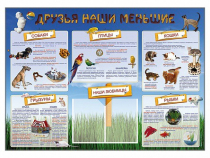 Стенд-уголок "Друзья наши меньшие" - «globural.ru» - Тобольск