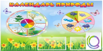Стенд "Календарь природы" (вариант 2) - «globural.ru» - Тобольск