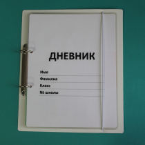 Дневник школьника (с полным набором карточек) - «globural.ru» - Тобольск