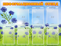Стенд информационный с 7 карманами - «globural.ru» - Тобольск