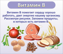 Стенд "Витамин В" - «globural.ru» - Тобольск
