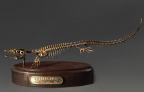 Модель скелета мозазавра Mosasaurus - «globural.ru» - Тобольск