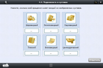 Интерактивные курсы. Биология 8 класс. Базовый  - «globural.ru» - Тобольск
