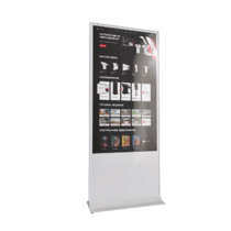 Интерактивный сенсорный киоск Nova 43" - «globural.ru» - Тобольск
