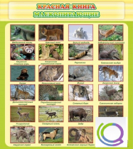 Стенд "Красная книга - млекопитающие" - «globural.ru» - Тобольск