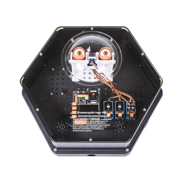 Модуль интерактивный с искусственным интеллектом "Наблюдатель" - «globural.ru» - Тобольск