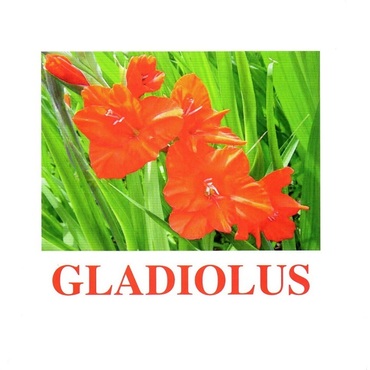 "Flowers-1" ("Цветы-1") английские карточки Домана - «globural.ru» - Тобольск