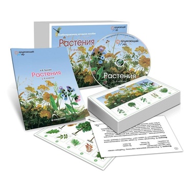 Комбинированное наглядное пособие «Растения» - «globural.ru» - Тобольск