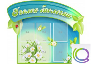 Стенд "Уголок биологии" - «globural.ru» - Тобольск