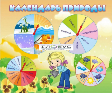 Стенд "Календарь природы" (вариант 1) - «globural.ru» - Тобольск