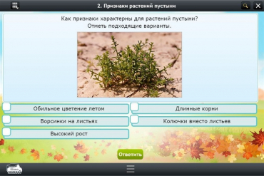 Интерактивные курсы. Окружающий мир 3 класс. Базовый - «globural.ru» - Тобольск